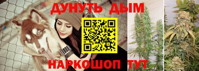 ALPHA PVP Камышлов