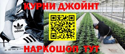 apvp Ирбит