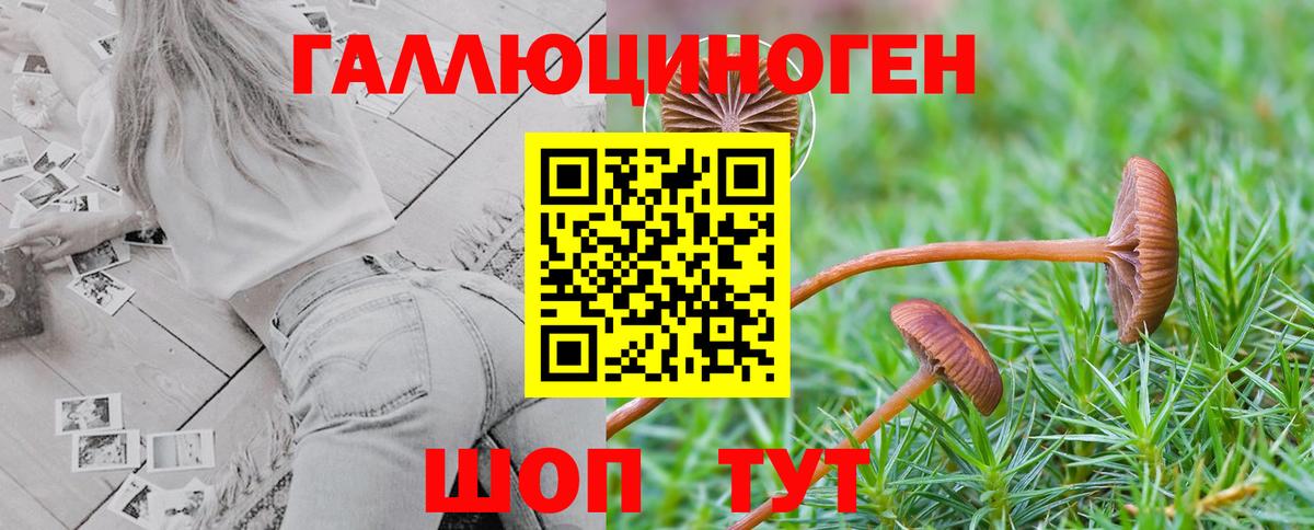 Псилоцибиновые грибы Cubensis  Псилоцибиновые грибы мухоморы  Магнитогорск  Вход с VPN 