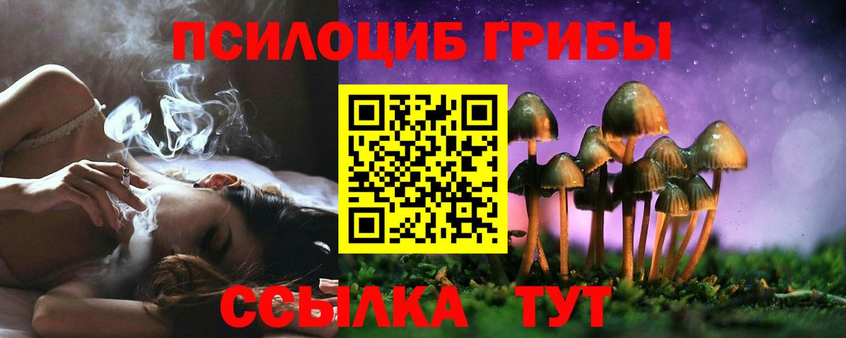 Псилоцибиновые грибы Cubensis Магнитогорск